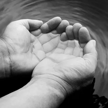 Hafa hænder og miljø